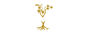 Champagne Lallement Massonnot